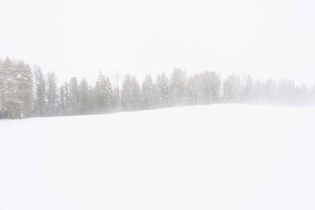 Fotografia Fine Art di Antonio Milesi intitolata "Beyond". Una linea di alberi distanti che emerge da un pendio innevato in un paesaggio bianco infinito. Stile pittorialista high-key, collezione L'insostenibile leggerezza del silenzio. Fine Art photography by Antonio Milesi titled "Beyond." A distant line of trees emerging from a snowy slope in an infinite white landscape. High-key pictorialist style, from the collection The Unbearable Lightness of Silence.