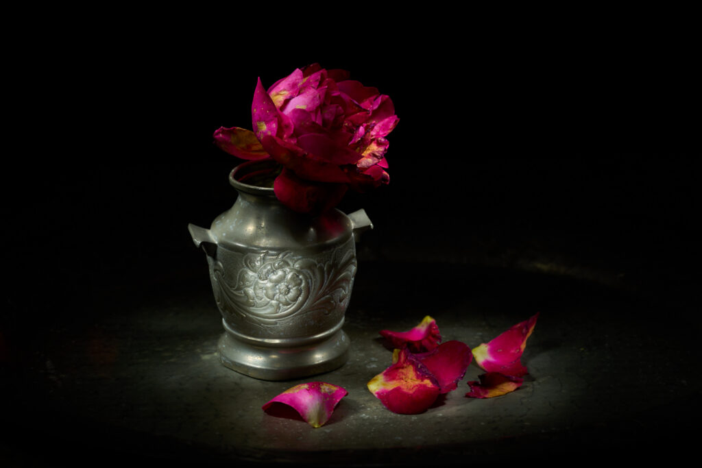 Fotografia artistica di Antonio Milesi: Rosso Memoria. Una singola rosa rossa appassita in un vaso di peltro sbalzato, con petali caduti su un vassoio di metallo scuro, stile Vanitas e illuminazione caravaggesca. Fine art photography by Antonio Milesi: Rosso Memoria (Memory Red). A single withered red rose in an embossed pewter vase, with petals fallen on a dark metal tray, Vanitas style and Caravaggio-esque lighting.