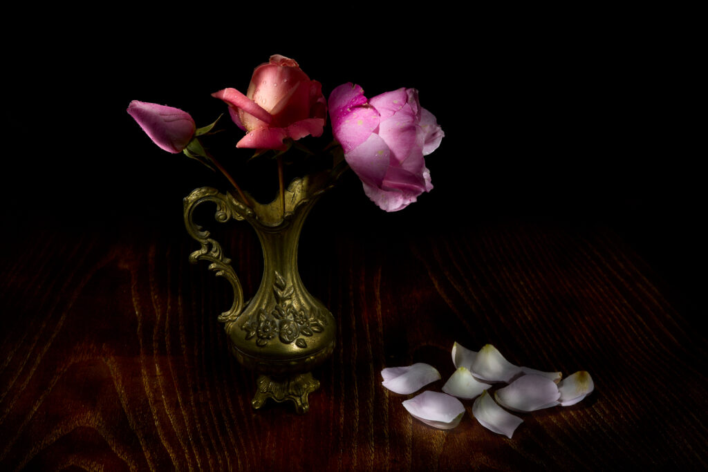 Fotografia pittorialista di Antonio Milesi: La Trilogia dell'Istante. Tre rose rosa in diversi stadi di fioritura in un vaso di bronzo antico su legno scuro, con petali caduti, stile Vanitas e chiaroscuro romantico. Pictorialist photography by Antonio Milesi: The Trilogy of the Instant. Three pink roses in different stages of bloom in an antique bronze vase on dark wood, with fallen petals, Vanitas style with romantic chiaroscuro.