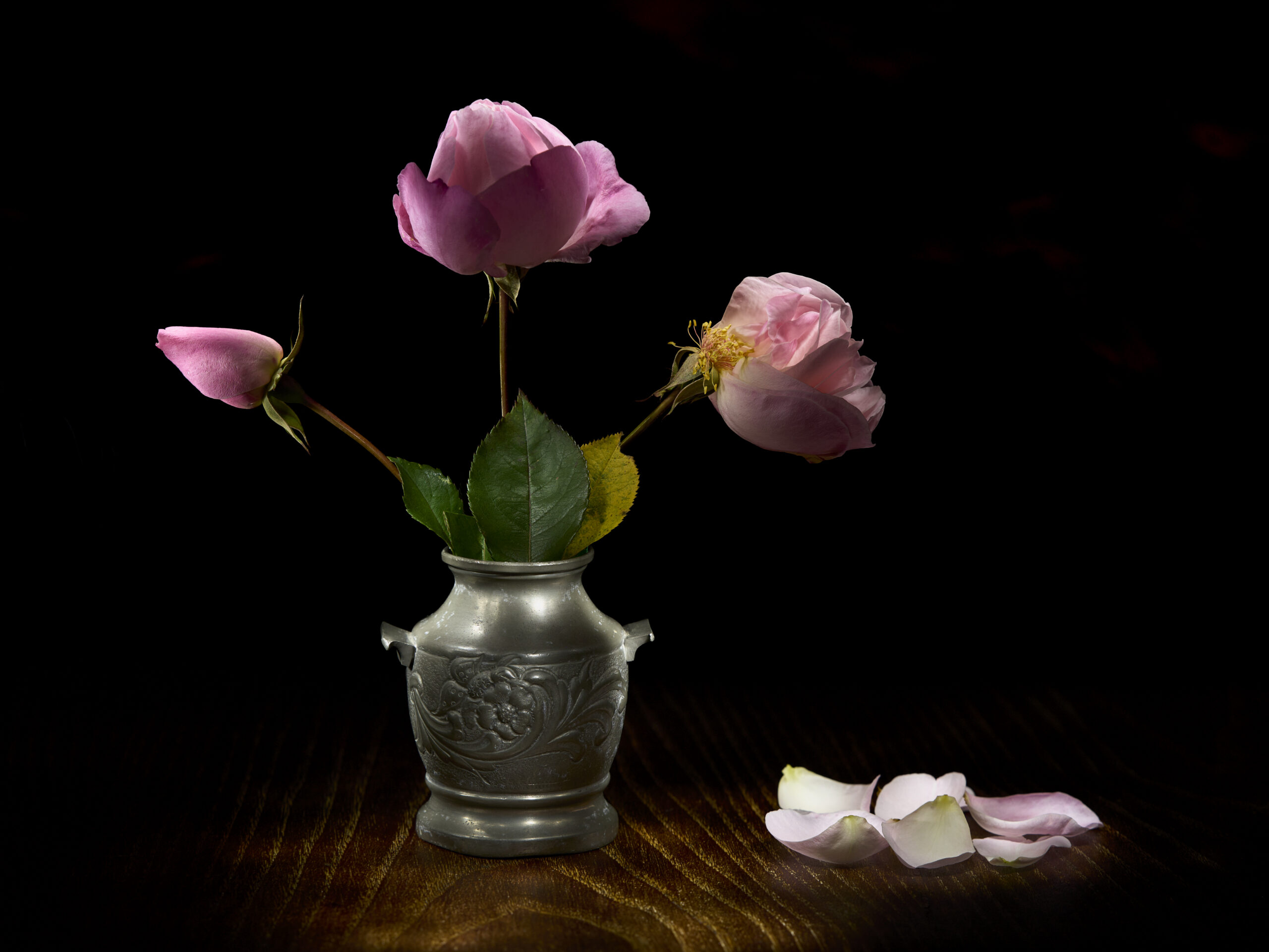 Fotografia pittorialista di Antonio Milesi: Polvere di Rosa. Tre rose rosa in varie fasi di decadimento in un vaso di metallo cesellato, con petali sparsi su un tavolo di legno scuro, stile Vanitas con illuminazione chiaroscurale. Pictorialist photography by Antonio Milesi: Rose Dust. Three pink roses in various stages of decay in a chased metal vase, with petals scattered on a dark wooden table, Vanitas style with chiaroscuro lighting.